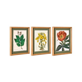 Beautiful by Drew Barrymore Framed Vintage Florals Elm Tree Leaves-Yellow Flowers-Peony Flower 3-Piece Set