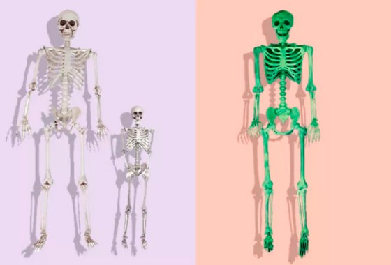 Best 12-Foot Skeletons