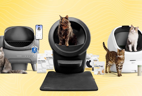 Self-cleaning litter boxes that are definitely worth the money