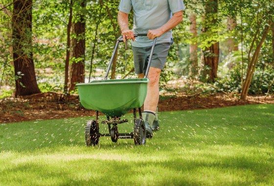 When to fertilize your lawn