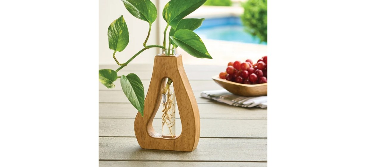 Better Homes &amp; Gardens Wood and Glass Curved Propagation Station on table