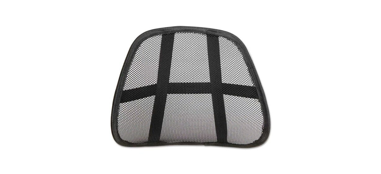 Best Alera Mesh Back Support