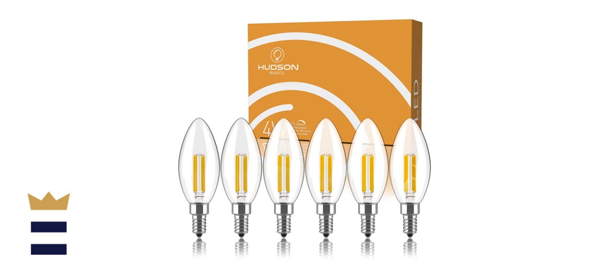 Hudson Lighting 6-Pack Dimmable Indoor/Outdoor Bulbs