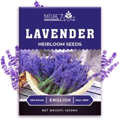 Nature Z Edge English Lavender Seeds