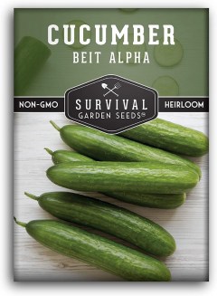 SURVIVAL GARDEN SEEDS Beit Alpha Cucumber Seed for Planting