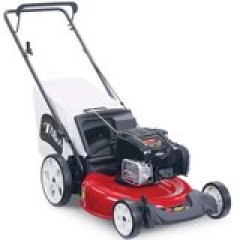 Toro Recycler Briggs and Stratton Push Mower, 21 Inches