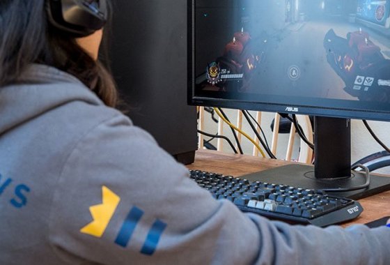 Best Computer Monitors