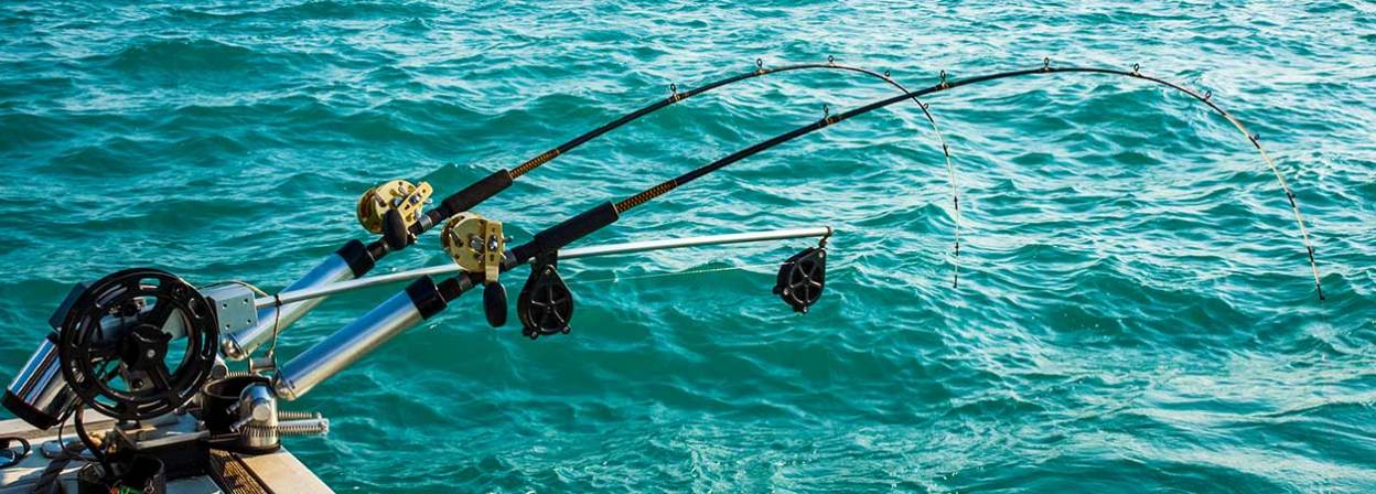 5 Best Fishing Rod Racks - Apr. 2024 - BestReviews
