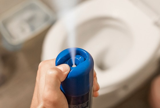 Best Toilet Bowl Fresheners