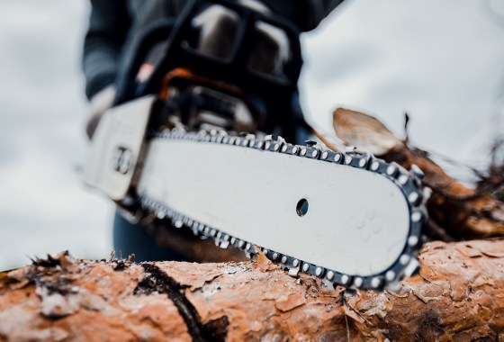 Best Electric Chainsaws