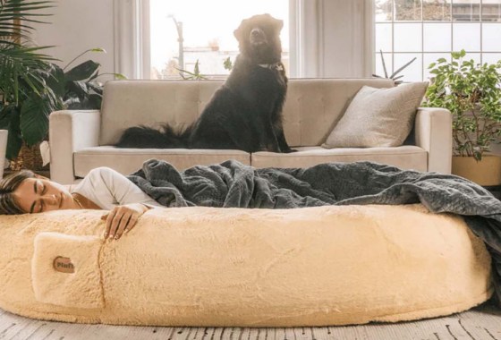 Yes, you absolutely need a human dog bed