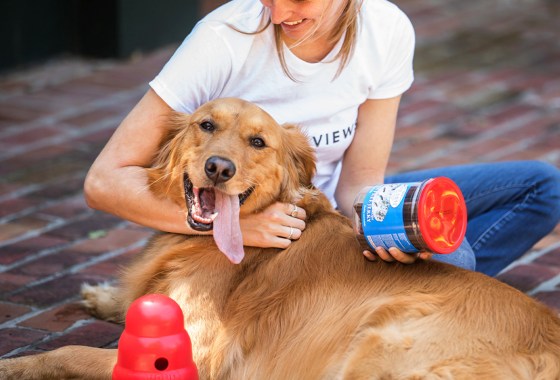 Study: Having cats or dogs can reduce children’s chance of food allergies