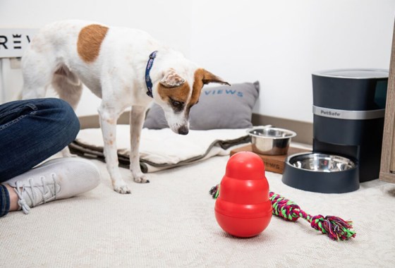 Top products for your pet from the BestReviews Testing Lab