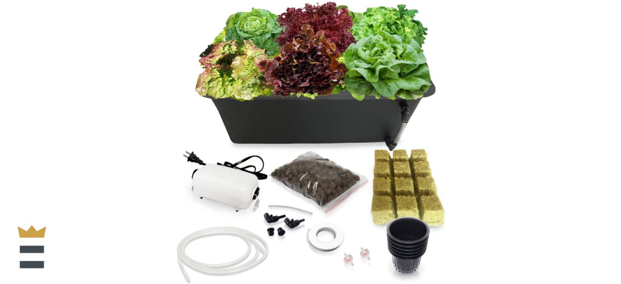 SavvyGrow DWC Hydroponics Growing System