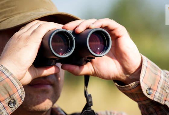 Bushnell binoculars vs. Nikon binoculars