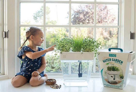 Best aquaponics fish tank