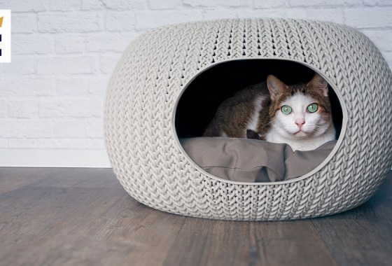 Best cat cave