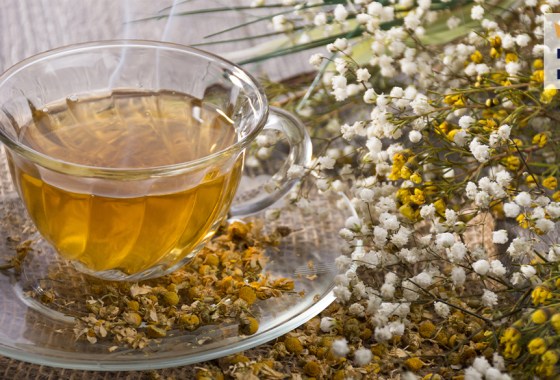 Best chamomile tea