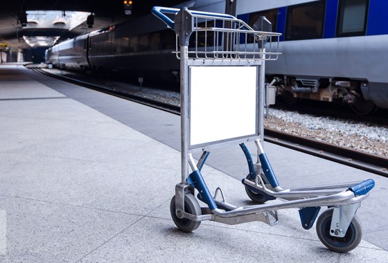 Best budget luggage cart