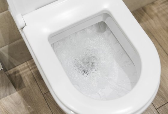 Best American Standard toilet