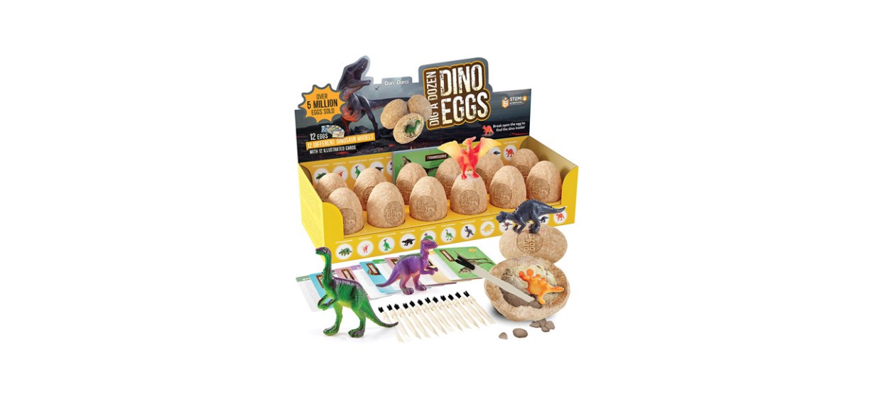 Best Dan &amp; Darci Dig a Dozen Dino Egg Dig Kit