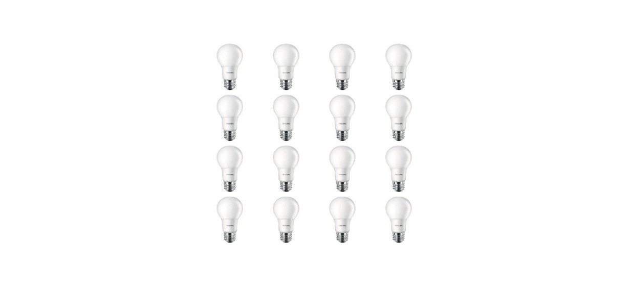 Best Philips LED Frosted Light Bulbs