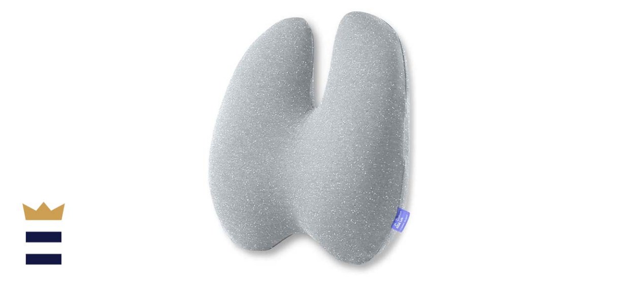 Cushion Lab Extra Dense Lumbar Pillow