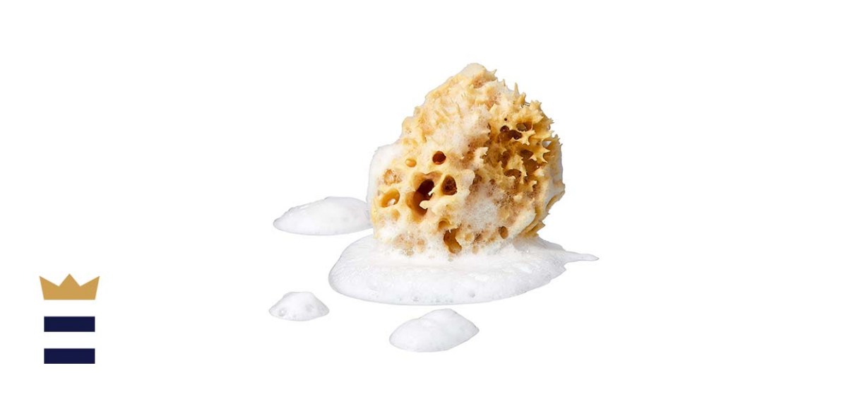 Genuine Honeycomb Sea Sponge