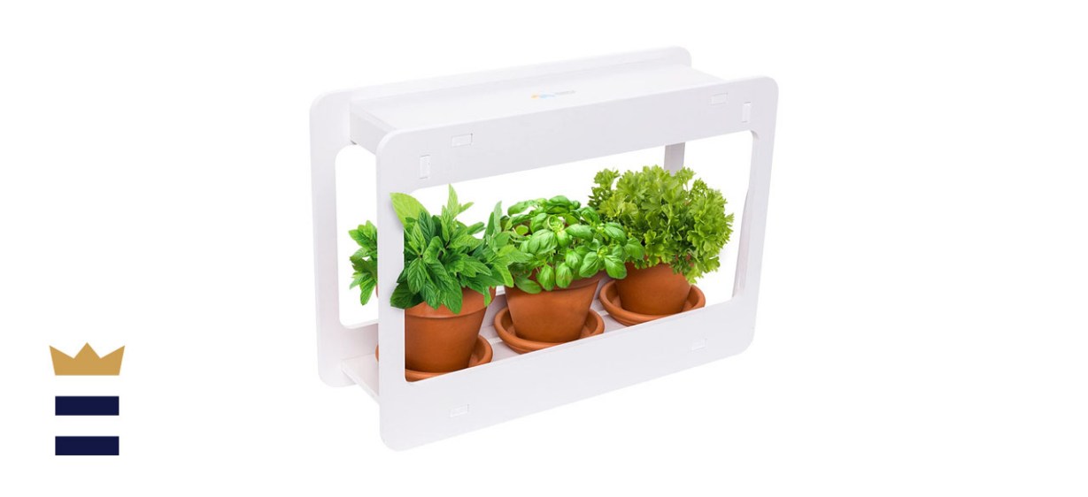 Mindful Design indoor herb garden