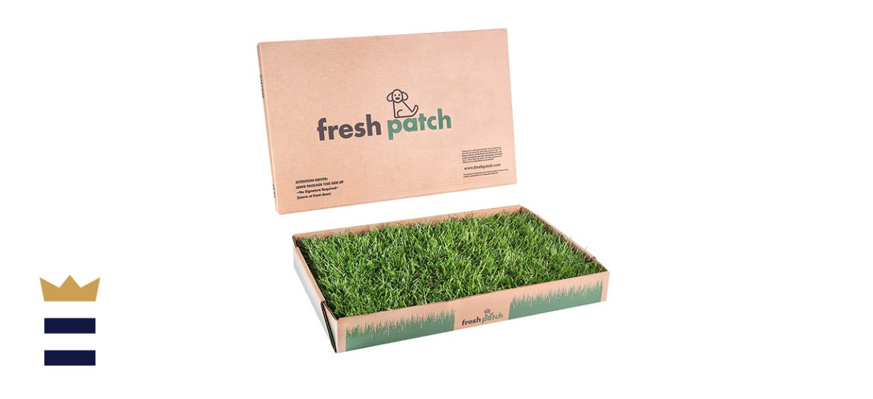 Fresh Patch Disposable Dog Potty with Real Grass