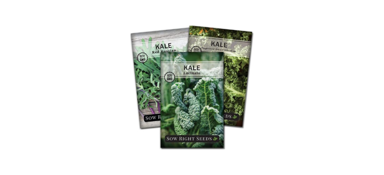Sow Right Seeds - Kale Seed Collection for Planting