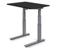 LifeSpan Fitness Standing Desk