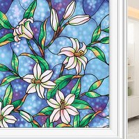 Coavas Decorative Privacy Window Film