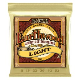 Ernie Ball