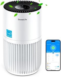 GoveeLife Mini Air Purifier