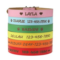 Custom Catch Personalized Dog Collar – Engraved Soft Leather