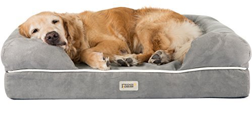 Friends Forever Premium Orthopedic Dog Bed